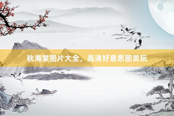 秋海棠图片大全，高清好意思图赏玩