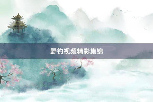 野钓视频精彩集锦